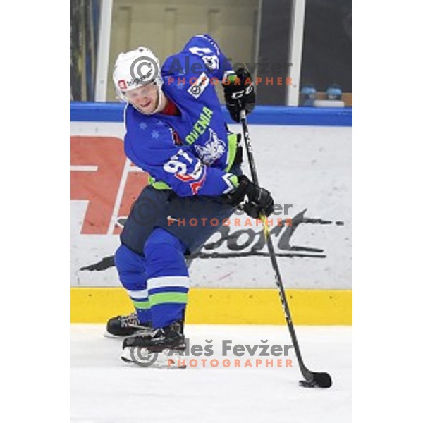 action during EIHC ice-hockey match between Slovenia and Belarus in Bled Ice Hall, Slovenia on February 9, 2019