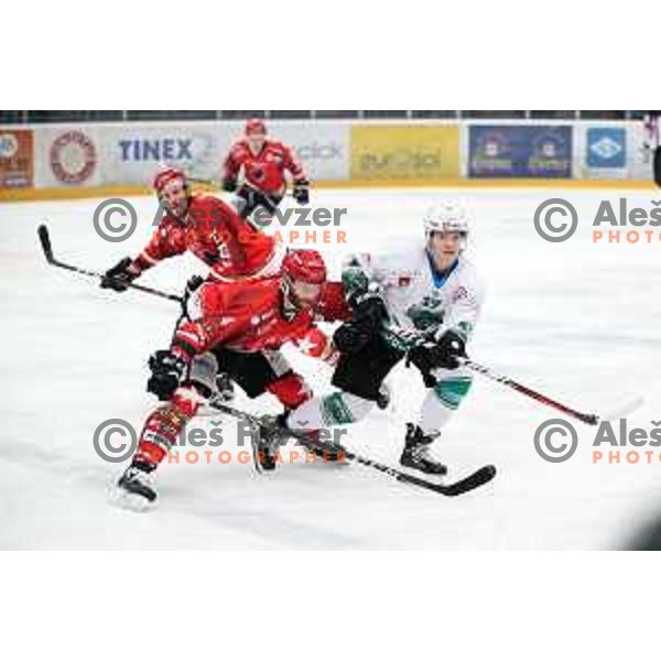 Andrej Tavzelj in action during Alps League ice-hockey match between Acroni Jesenice and SZ Olimpija in Podmezakla Hall, Jesenice, Slovenia on February 12, 2019