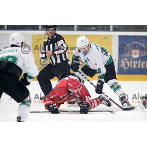 Luka Kalan in action during Alps League ice-hockey match between Acroni Jesenice and SZ Olimpija in Podmezakla Hall, Jesenice, Slovenia on February 12, 2019
