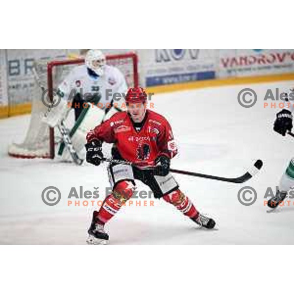 Luka Kalan in action during Alps League ice-hockey match between Acroni Jesenice and SZ Olimpija in Podmezakla Hall, Jesenice, Slovenia on February 12, 2019