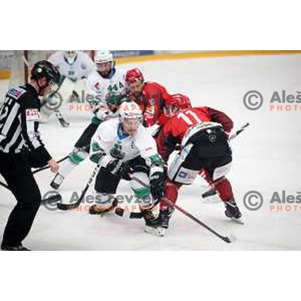 action during Alps League ice-hockey match between Acroni Jesenice and SZ Olimpija in Podmezakla Hall, Jesenice, Slovenia on February 12, 2019