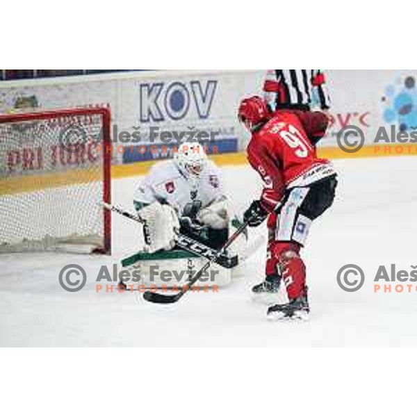 Zan Us and Tadej Cimzar in action during Alps League ice-hockey match between Acroni Jesenice and SZ Olimpija in Podmezakla Hall, Jesenice, Slovenia on February 12, 2019