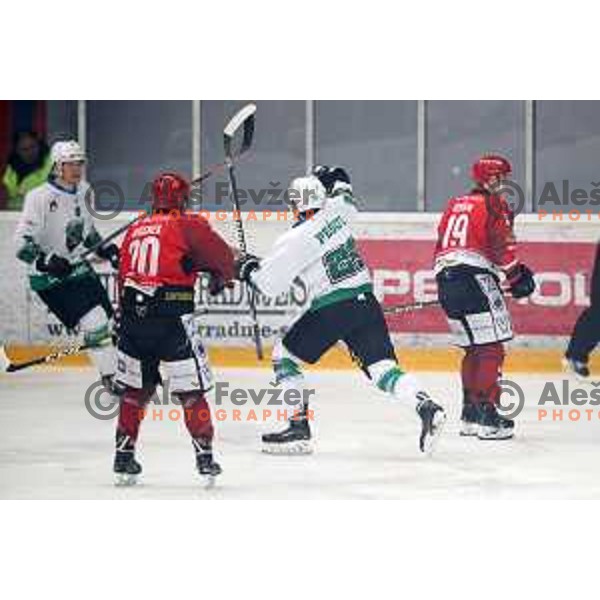 action during Alps League ice-hockey match between Acroni Jesenice and SZ Olimpija in Podmezakla Hall, Jesenice, Slovenia on February 12, 2019