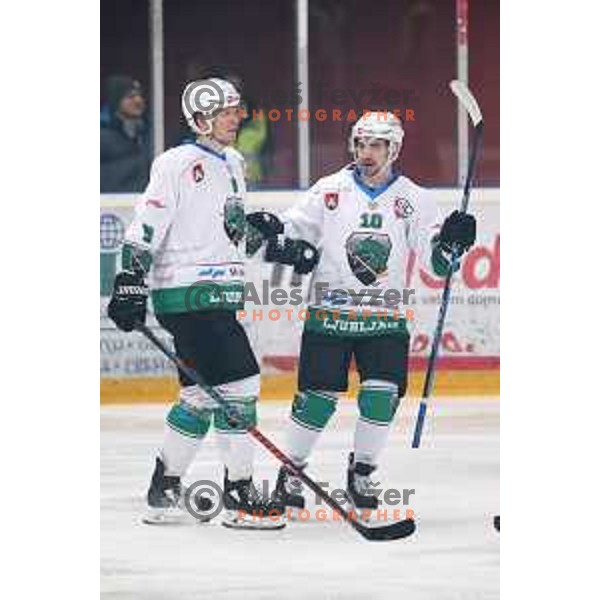 Kristjan Cepon and Nik Simsic in action during Alps League ice-hockey match between Acroni Jesenice and SZ Olimpija in Podmezakla Hall, Jesenice, Slovenia on February 12, 2019