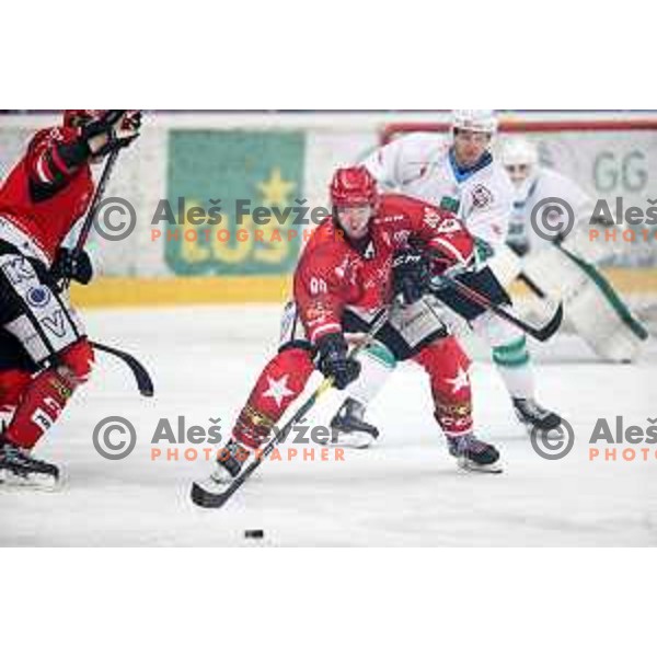 Luka Basic in action during Alps League ice-hockey match between Acroni Jesenice and SZ Olimpija in Podmezakla Hall, Jesenice, Slovenia on February 12, 2019