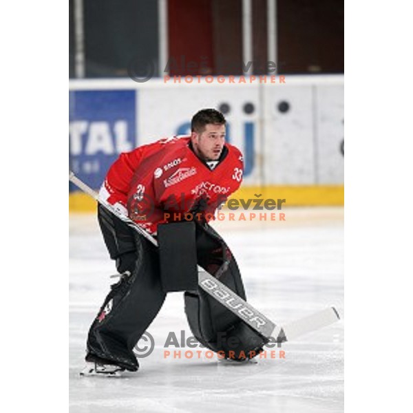 Matt Climie in action during Alps League ice-hockey match between Acroni Jesenice and SZ Olimpija in Podmezakla Hall, Jesenice, Slovenia on February 12, 2019