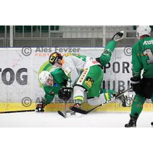 action during Alps League ice-hockey match between SZ Olimpija and Lustenau in Tivoli Hall, Ljubljana, Slovenia on February 22, 2019