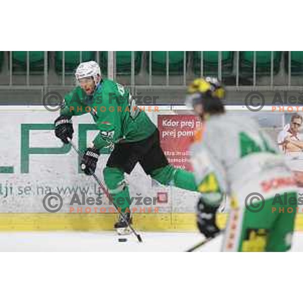 Ales Kranjc of SZ Olimpija in action during Alps League ice-hockey match between SZ Olimpija and Lustenau in Tivoli Hall, Ljubljana, Slovenia on February 22, 2019