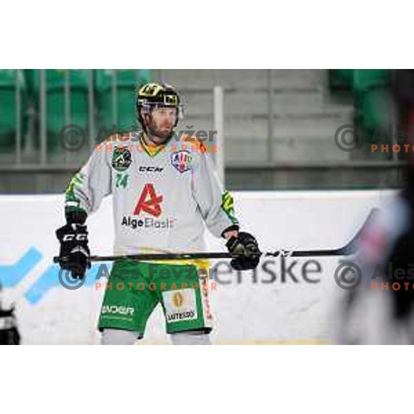 David Slivnik in action during Alps League ice-hockey match between SZ Olimpija and Lustenau in Tivoli Hall, Ljubljana, Slovenia on February 22, 2019
