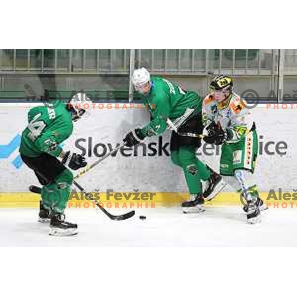 Luka Zorko in action during Alps League ice-hockey match between SZ Olimpija and Lustenau in Tivoli Hall, Ljubljana, Slovenia on February 22, 2019