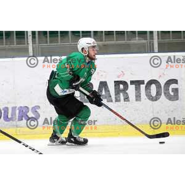 Zan Jezovsek of SZ Olimpija in action during Alps League ice-hockey match between SZ Olimpija and Lustenau in Tivoli Hall, Ljubljana, Slovenia on February 22, 2019
