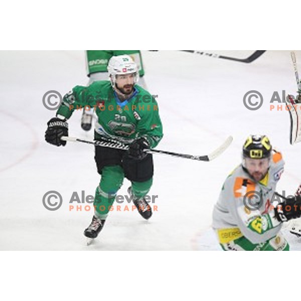 Ziga Pesut of SZ Olimpija in action during Alps League ice-hockey match between SZ Olimpija and Lustenau in Tivoli Hall, Ljubljana, Slovenia on February 22, 2019