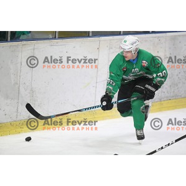 Anej Kujavec in action during Alps League ice-hockey match between SZ Olimpija and Lustenau in Tivoli Hall, Ljubljana, Slovenia on February 22, 2019