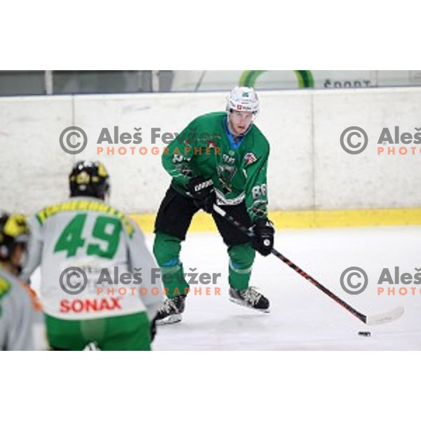 Miha Zajc of SZ Olimpija in action during Alps League ice-hockey match between SZ Olimpija and Lustenau in Tivoli Hall, Ljubljana, Slovenia on February 22, 2019