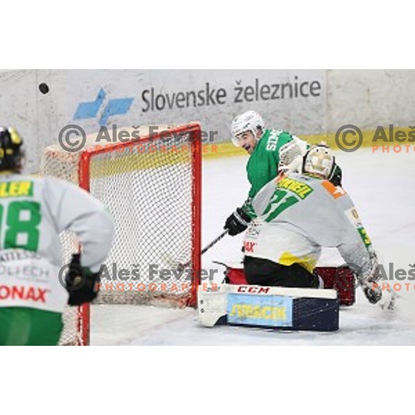 Nik Simsic in action during Alps League ice-hockey match between SZ Olimpija and Lustenau in Tivoli Hall, Ljubljana, Slovenia on February 22, 2019