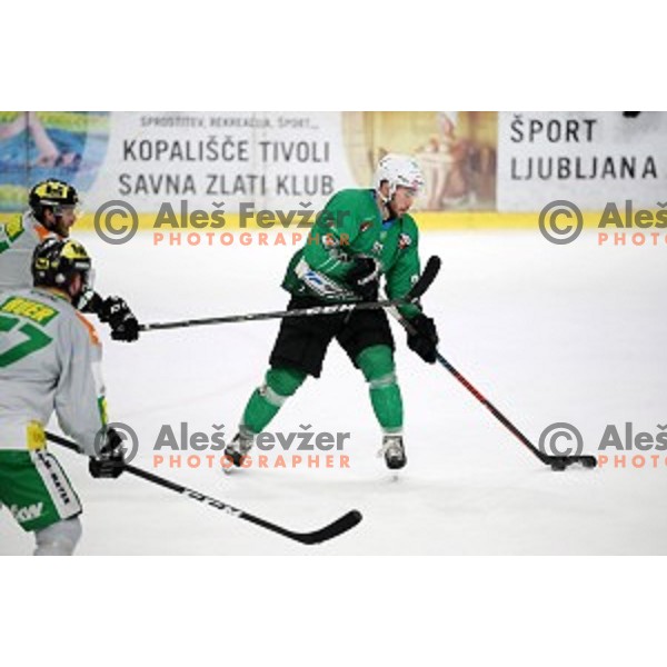 Zan Jezovsek in action during Alps League ice-hockey match between SZ Olimpija and Lustenau in Tivoli Hall, Ljubljana, Slovenia on February 22, 2019
