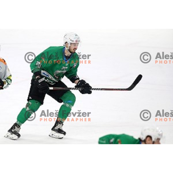 Gregor Koblar of SZ Olimpija in action during Alps League ice-hockey match between SZ Olimpija and Lustenau in Tivoli Hall, Ljubljana, Slovenia on February 22, 2019