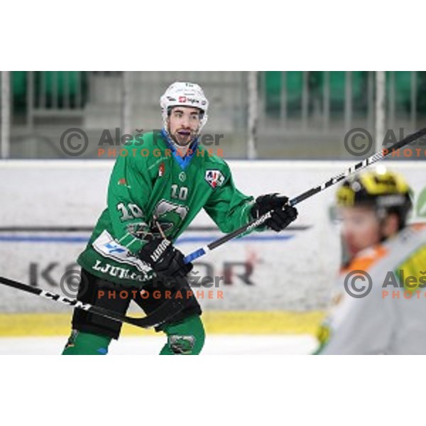 Nik Simsic of SZ Olimpija in action during Alps League ice-hockey match between SZ Olimpija and Lustenau in Tivoli Hall, Ljubljana, Slovenia on February 22, 2019