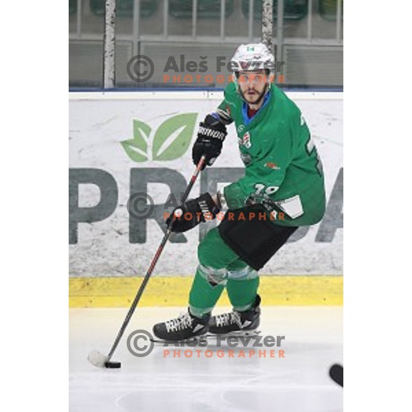 Gal Koren of SZ Olimpija in action during Alps League ice-hockey match between SZ Olimpija and Lustenau in Tivoli Hall, Ljubljana, Slovenia on February 22, 2019