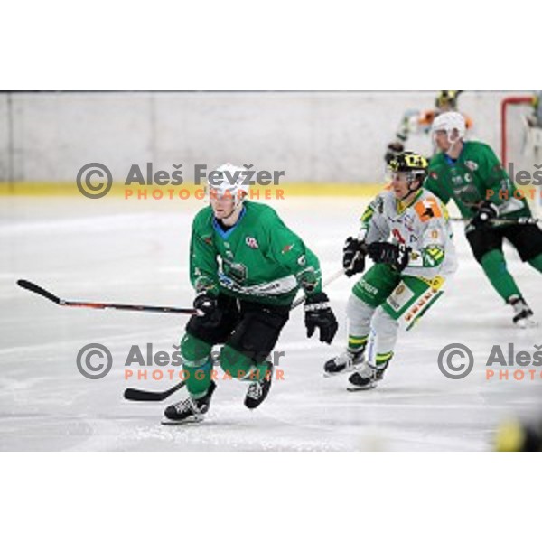 Kristjan Cepon in action during Alps League ice-hockey match between SZ Olimpija and Lustenau in Tivoli Hall, Ljubljana, Slovenia on February 22, 2019