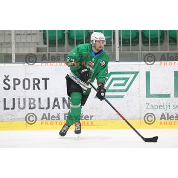 Ales Kranjc of SZ Olimpija in action during Alps League ice-hockey match between SZ Olimpija and Lustenau in Tivoli Hall, Ljubljana, Slovenia on February 22, 2019