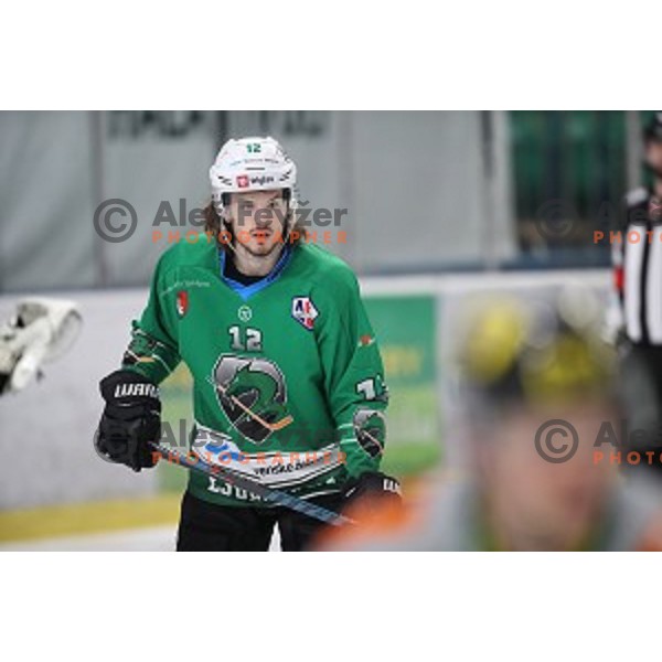 Janez Orehek of SZ Olimpija in action during Alps League ice-hockey match between SZ Olimpija and Lustenau in Tivoli Hall, Ljubljana, Slovenia on February 22, 2019