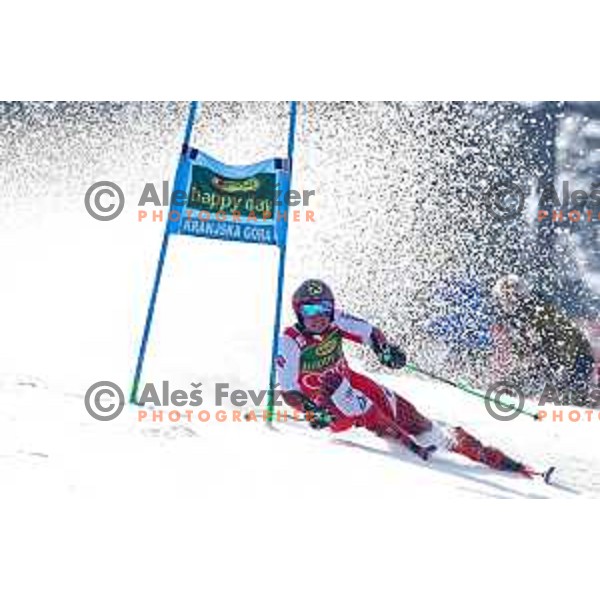Marcel Hirscher skiing in the first run of FIS Audi World Cup Giant Slalom for 58. Vitranc Cup in Kranjska Gora, Slovenia on March 9, 2019