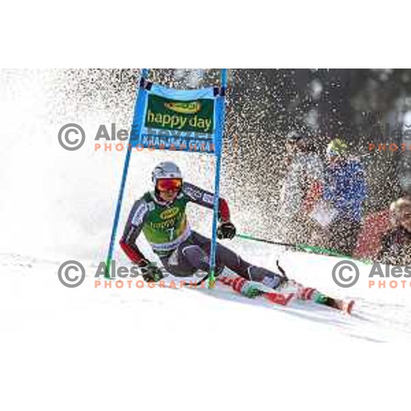 Henrik Kristoffersen skiing in the first run of FIS Audi World Cup Giant Slalom for 58. Vitranc Cup in Kranjska Gora, Slovenia on March 9, 2019