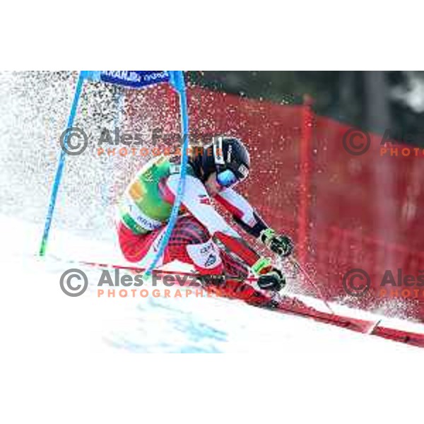 Manuel Feller skiing in the first run of FIS Audi World Cup Giant Slalom for 58. Vitranc Cup in Kranjska Gora, Slovenia on March 9, 2019