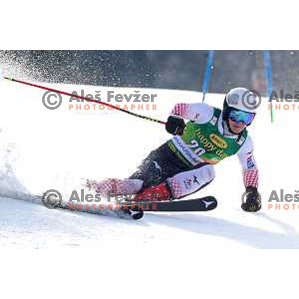 skiing in the first run of FIS Audi World Cup Giant Slalom for 58. Vitranc Cup in Kranjska Gora, Slovenia on March 9, 2019