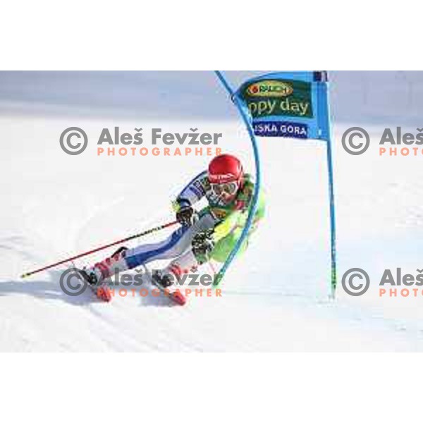 Zan Kranjec skiing in the second run of FIS Audi World Cup Giant Slalom for 58. Vitranc Cup in Kranjska Gora, Slovenia on March 9, 2019