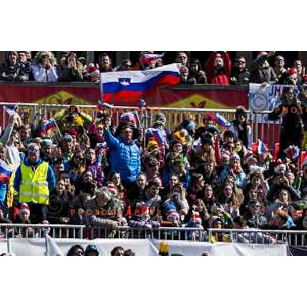 Borut Pahor cheering at Qualification for Ski flying individual at World Cup Ski Jumping Final in Planica, Slovenia on March 21, 2019