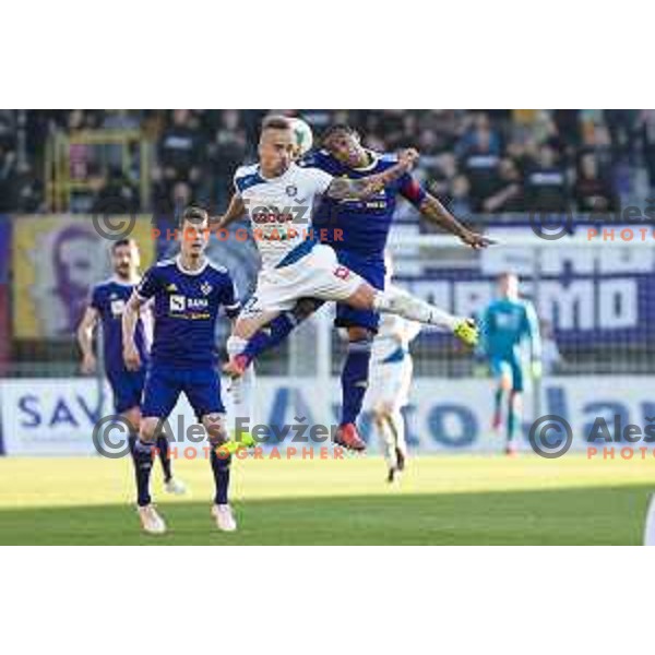 Tadej Vidmajer vs Marcos Tavares in action during soccer match between Maribor and Celje, Round 24 of PLTS 2018/19, played in Ljudki vrt, Maribor, Slovenia on March 30, 2019