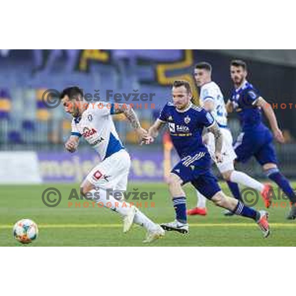 vs Dino Hotic in action during soccer match between Maribor and Celje, Round 24 of PLTS 2018/19, played in Ljudki vrt, Maribor, Slovenia on March 30, 2019