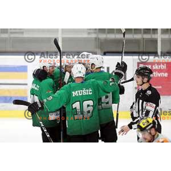 of SZ Olimpija in action during semi-final of Alps League ice-hockey match between SZ Olimpija and Lustenau in Tivoli Hall, Ljubljana, Slovenia on April 5, 2019