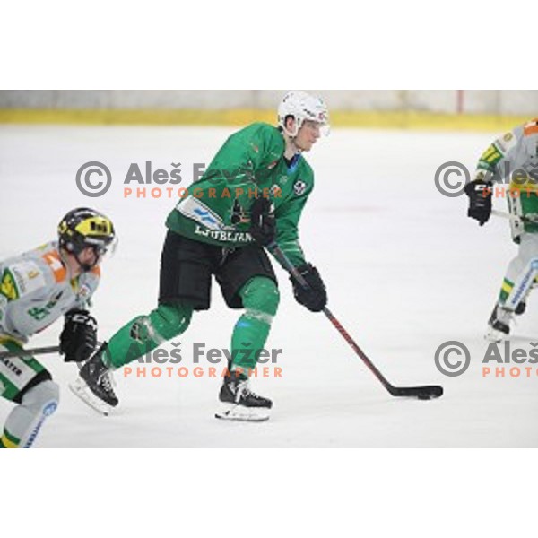 of SZ Olimpija in action during semi-final of Alps League ice-hockey match between SZ Olimpija and Lustenau in Tivoli Hall, Ljubljana, Slovenia on April 5, 201