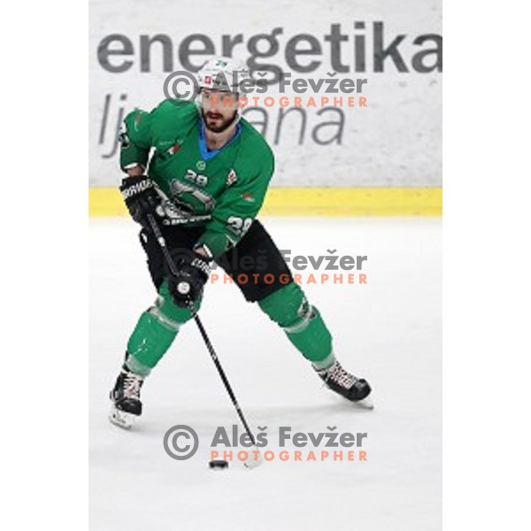 Ziga Pesut of SZ Olimpija in action during semi-final of Alps League ice-hockey match between SZ Olimpija and Lustenau in Tivoli Hall, Ljubljana, Slovenia on April 5, 201