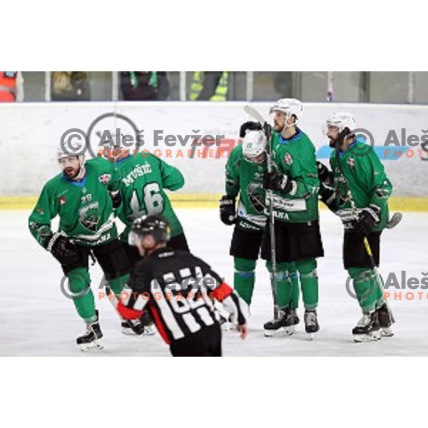 of SZ Olimpija in action during semi-final of Alps League ice-hockey match between SZ Olimpija and Lustenau in Tivoli Hall, Ljubljana, Slovenia on April 5, 201