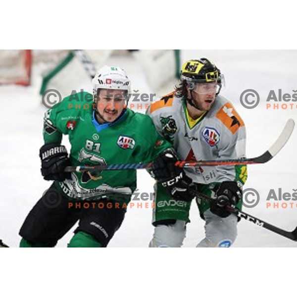 Saso Rajsar of SZ Olimpija in action during semi-final of Alps League ice-hockey match between SZ Olimpija and Lustenau in Tivoli Hall, Ljubljana, Slovenia on April 5, 201