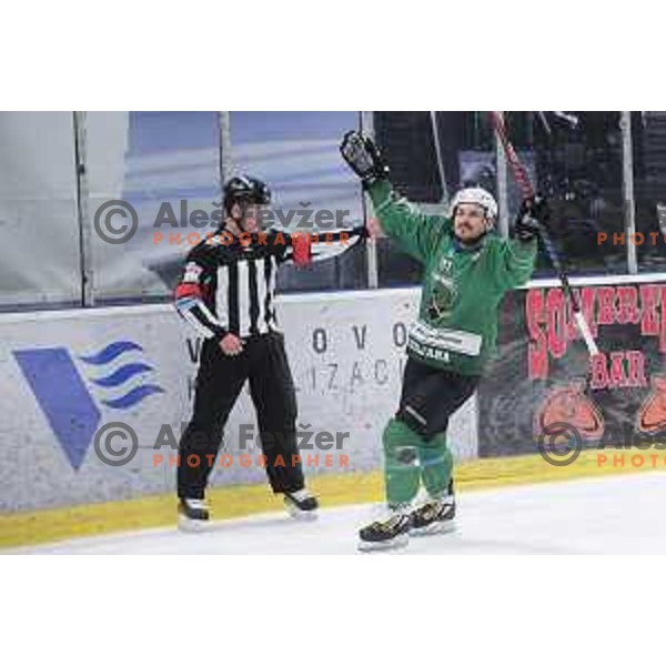 Saso Rajsar of SZ Olimpija in action during Final of Alps League ice-hockey match between SZ Olimpija and Pustertal in Tivoli Hall, Ljubljana, Slovenia on April 14, 2019