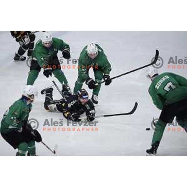 of SZ Olimpija in action during fourth game in the Final of Alps League ice-hockey match between SZ Olimpija and Pustertal in Tivoli Hall, Ljubljana, Slovenia on April 15, 2019