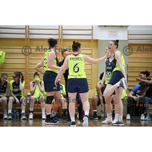 action during first match of the Final of Slovenian Women\'s basketball league between Cinkarna Celje and Triglav Kranj in Celje, Slovenia on April 18, 2019