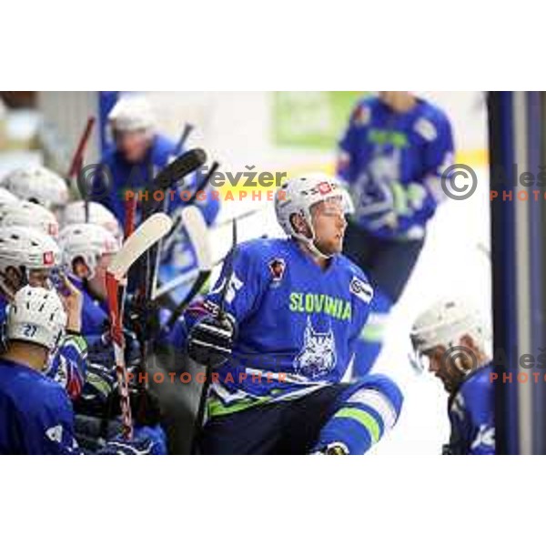 Robert Sabolic during friendly Ice-Hockey match between Slovenia and Italy in Bled Ice Hall, Slovenia on April 25, 2019