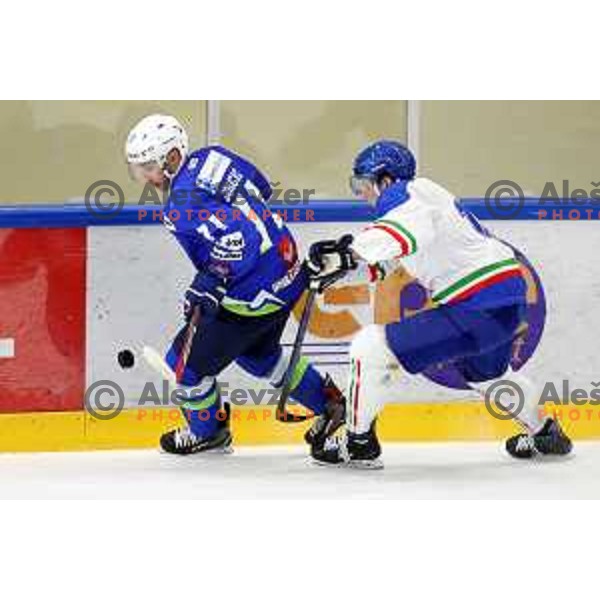 Bostjan Golicic in action during friendly Ice-Hockey match between Slovenia and Italy in Bled Ice Hall, Slovenia on April 25, 2019