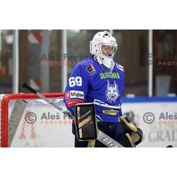 Matija Pintaric in action during friendly Ice-Hockey match between Slovenia and Italy in Bled Ice Hall, Slovenia on April 25, 2019