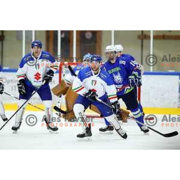 Ken Ograjensek in action during friendly Ice-Hockey match between Slovenia and Italy in Bled Ice Hall, Slovenia on April 25, 2019