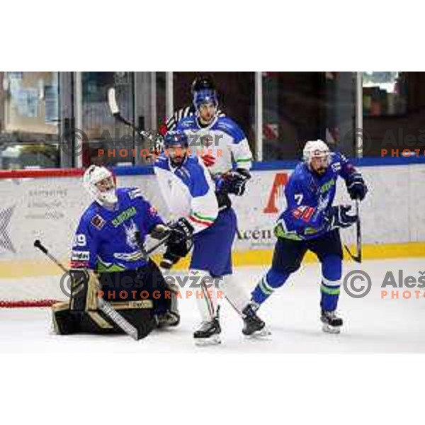 Matija Pintaric and Klemen Pretnar in action during friendly Ice-Hockey match between Slovenia and Italy in Bled Ice Hall, Slovenia on April 25, 2019