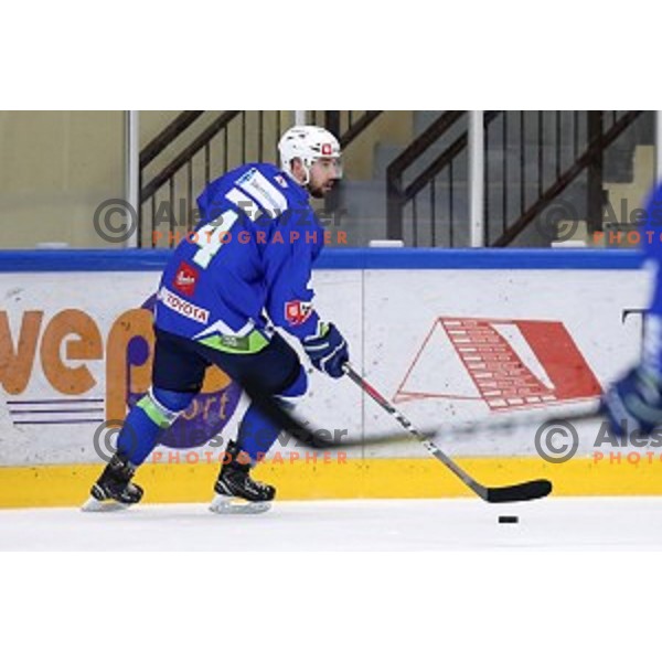Aleksander Magovac in action during friendly Ice-Hockey match between Slovenia and Italy in Bled Ice Hall, Slovenia on April 25, 2019