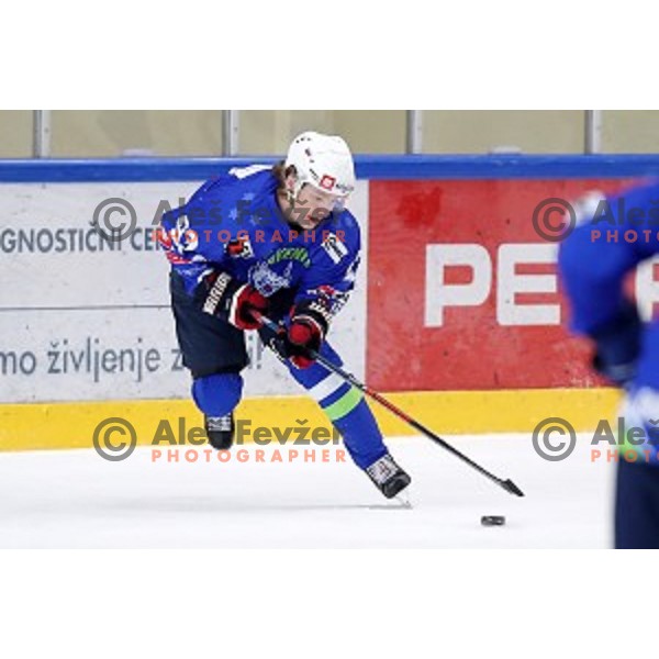 Aljaz Predan in action during friendly Ice-Hockey match between Slovenia and Italy in Bled Ice Hall, Slovenia on April 25, 2019