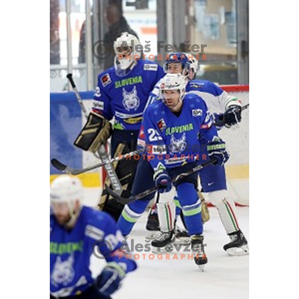 Anze Ropret in action during friendly Ice-Hockey match between Slovenia and Italy in Bled Ice Hall, Slovenia on April 25, 2019